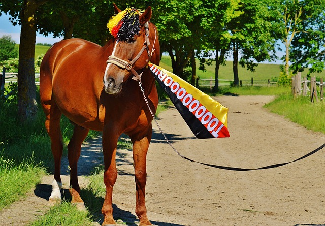 衛冕冠軍橫濱水手還差2分就可拿到J1聯賽冠軍！.