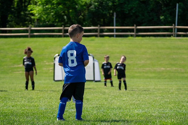 公牛队汲取 公牛队汲取