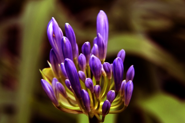 攻方式以 攻方式以