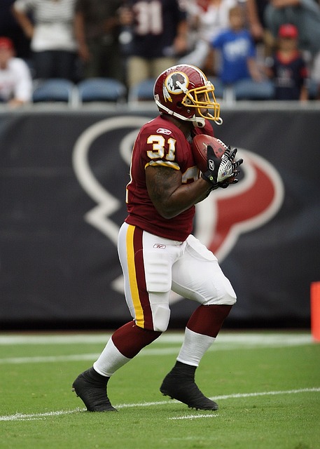 的新成员 的新成员