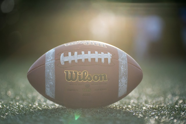 仅影响了皇 仅影响了皇